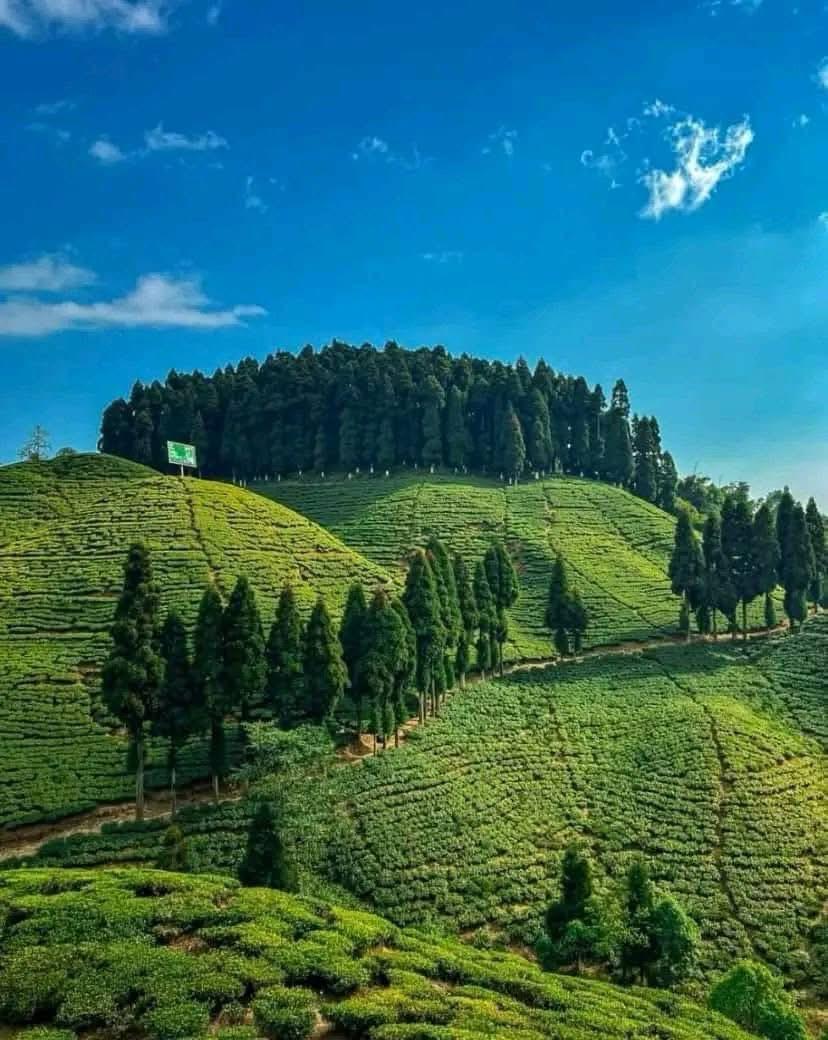 Mirik Lake Darjeeling